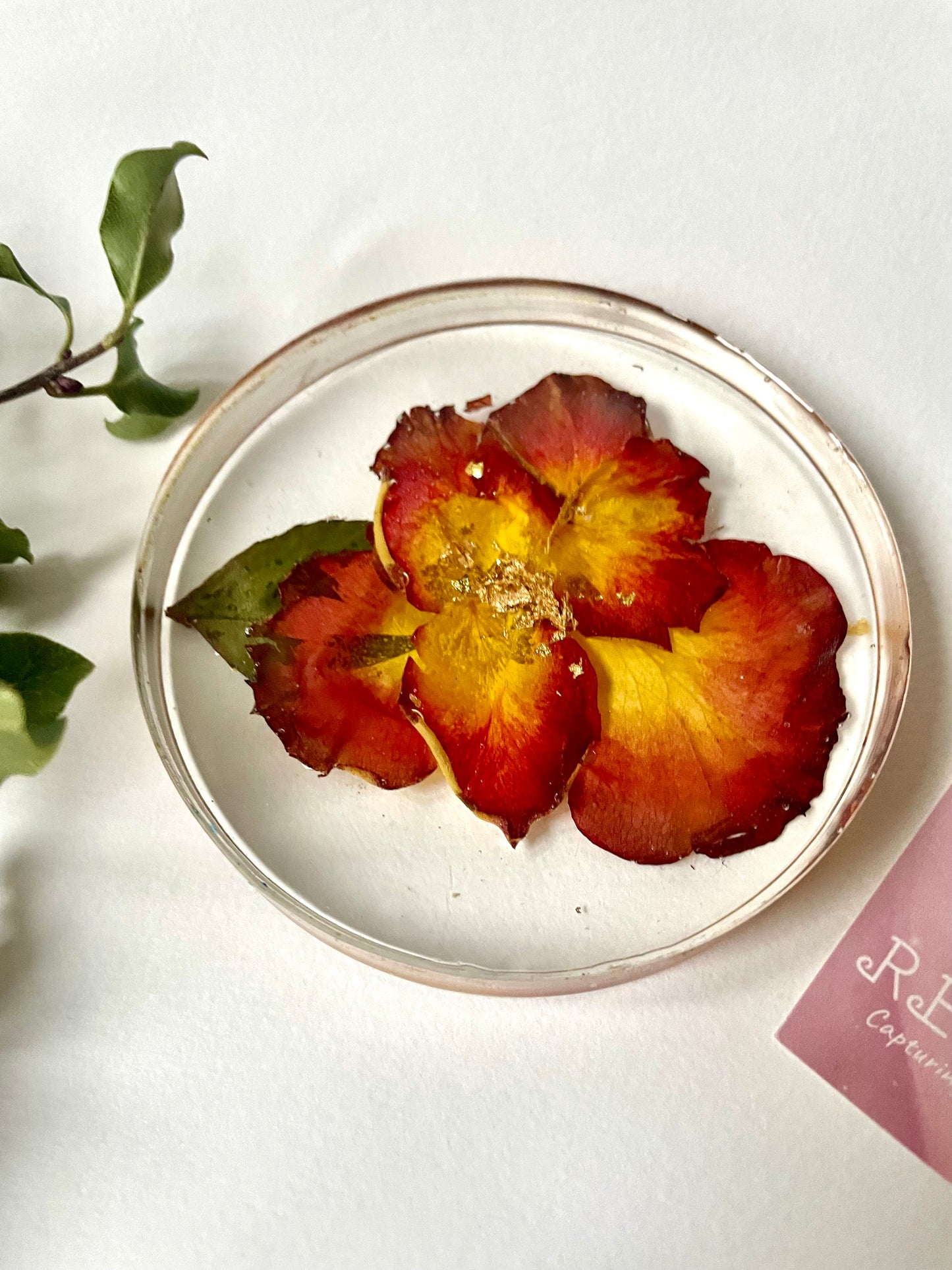 Rose petal and resin coasters