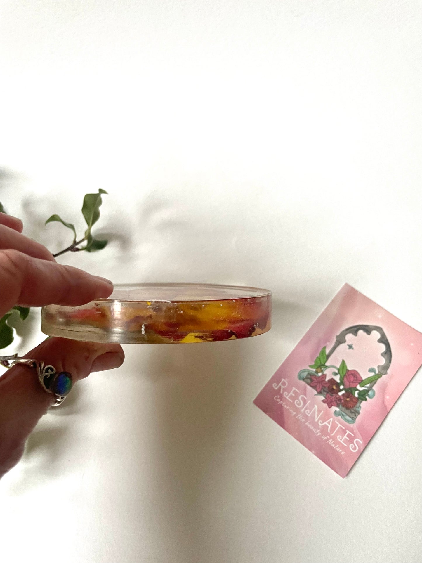 Rose petal and resin coasters