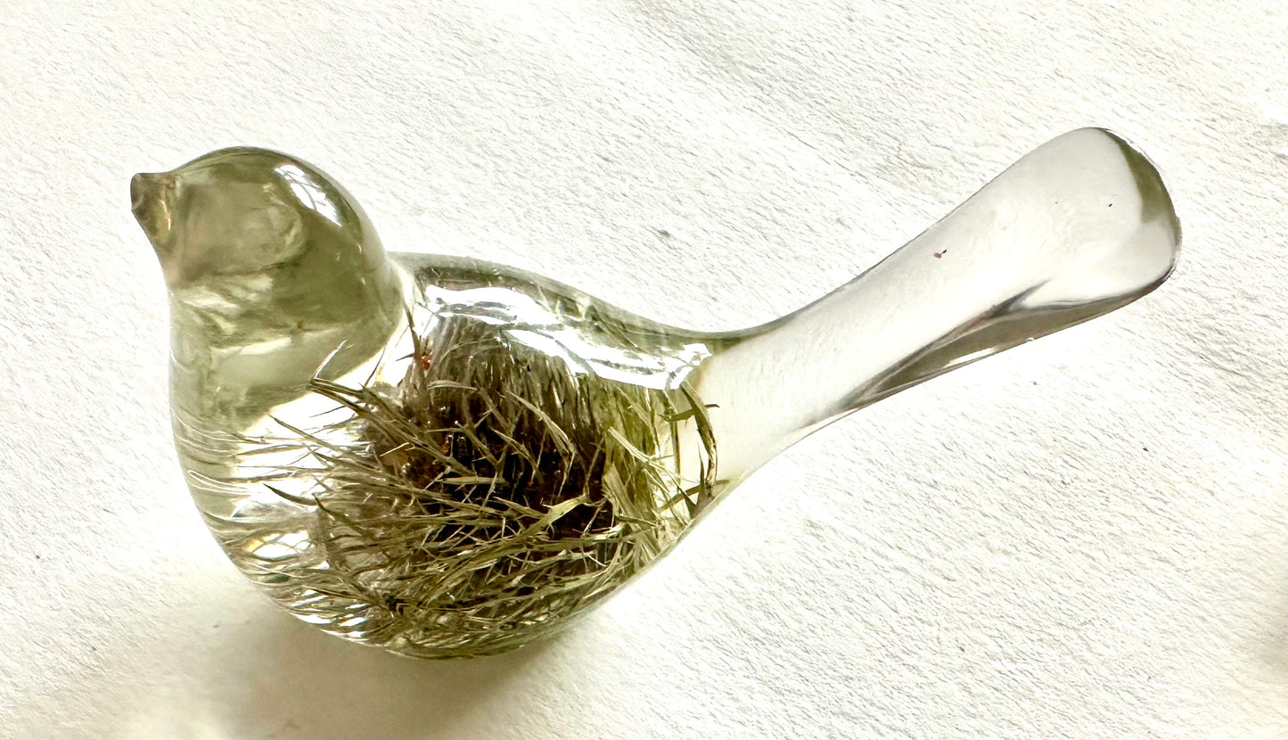 Thistle Robin