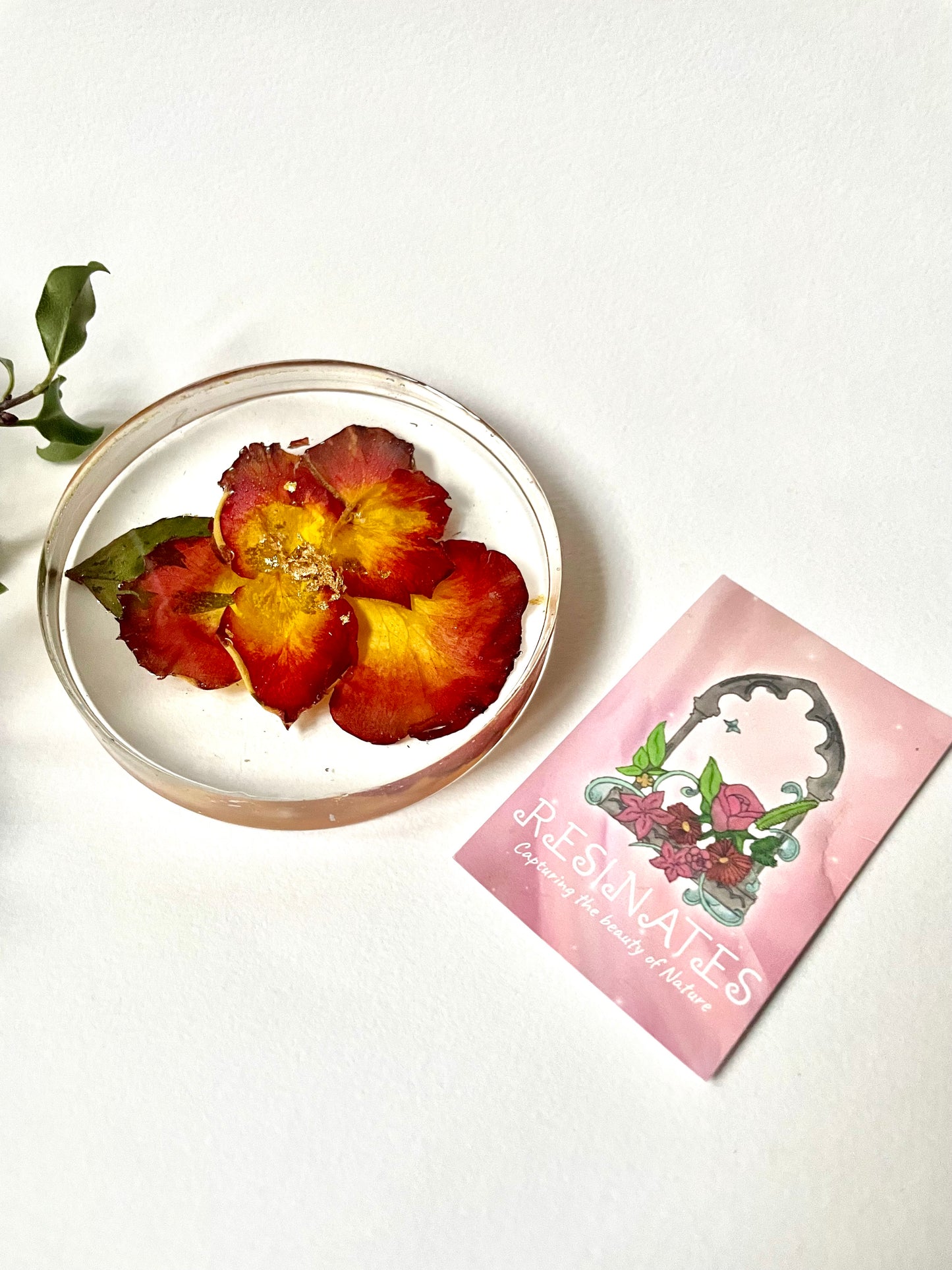 Rose petal and resin coasters