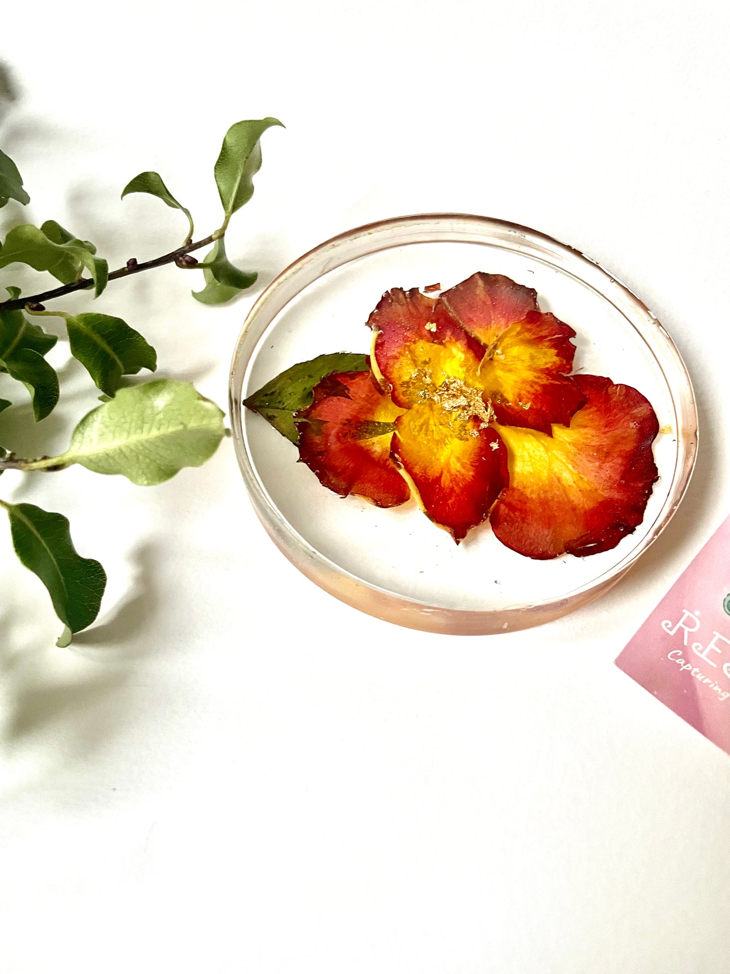 Rose petal and resin coasters