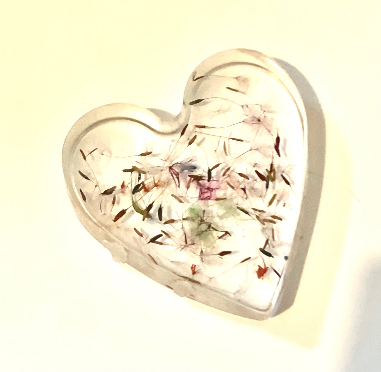 Rainbow dandelion wishes in resin heart