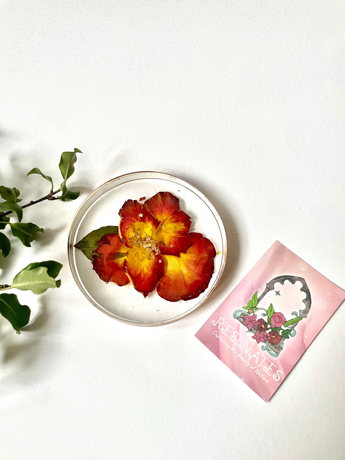 Rose petal and resin coasters