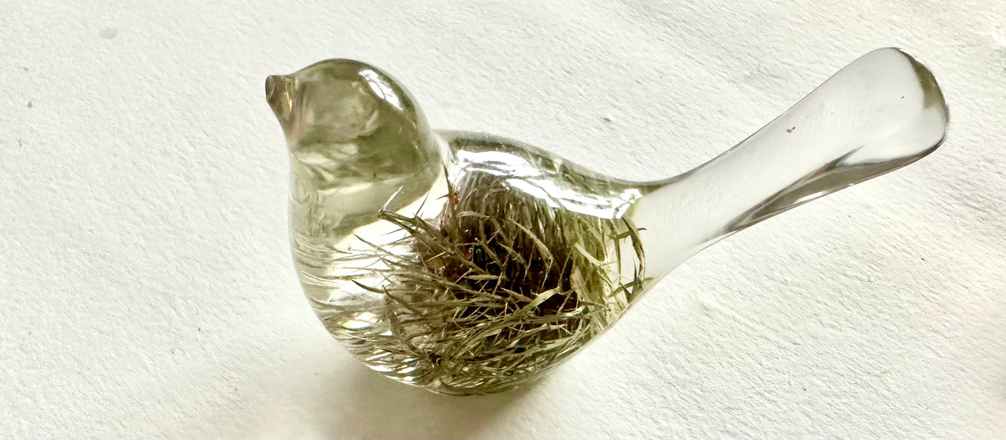 Thistle Robin