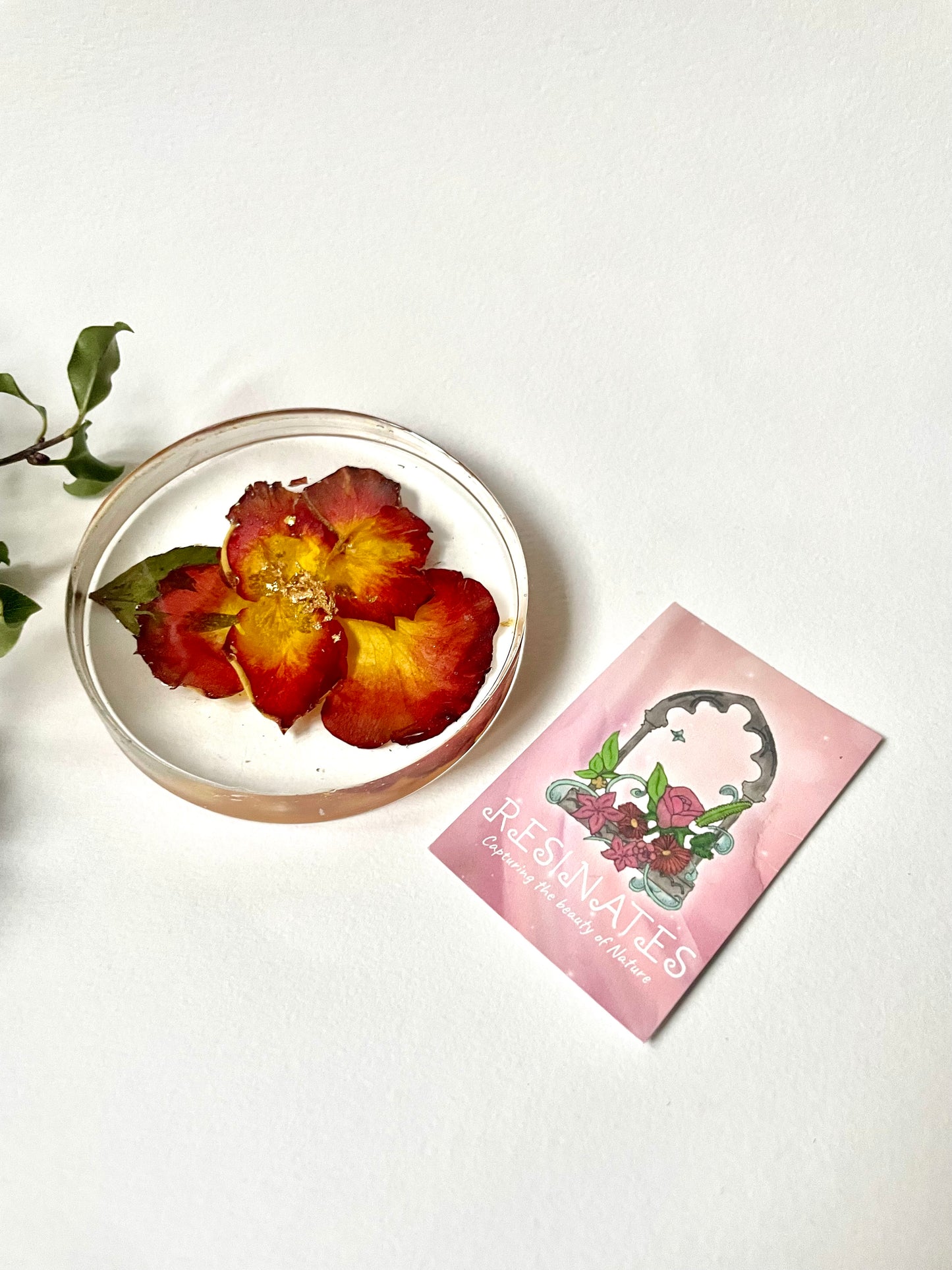 Rose petal and resin coasters