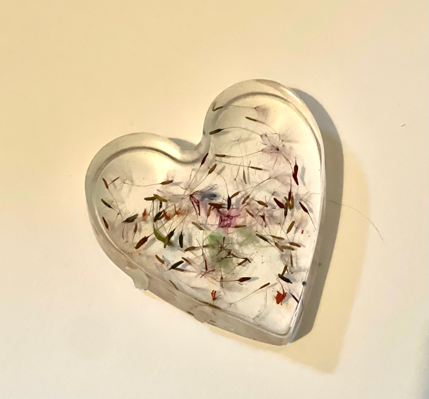 Rainbow dandelion wishes in resin heart