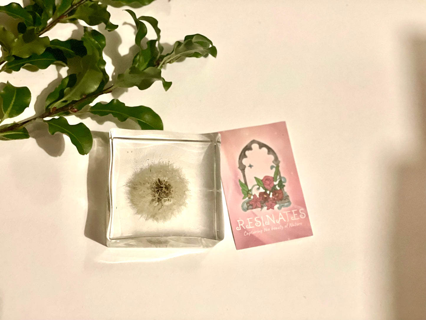 Dandelion wishes resin cube