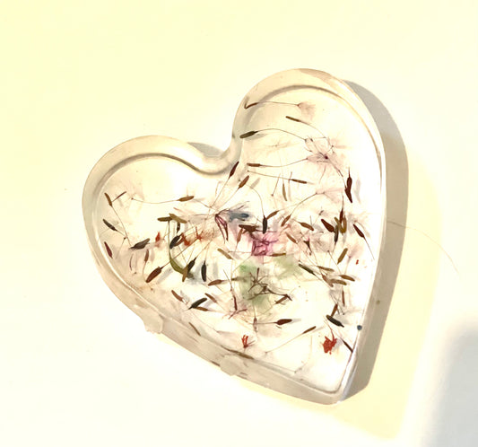 Rainbow dandelion wishes in resin heart