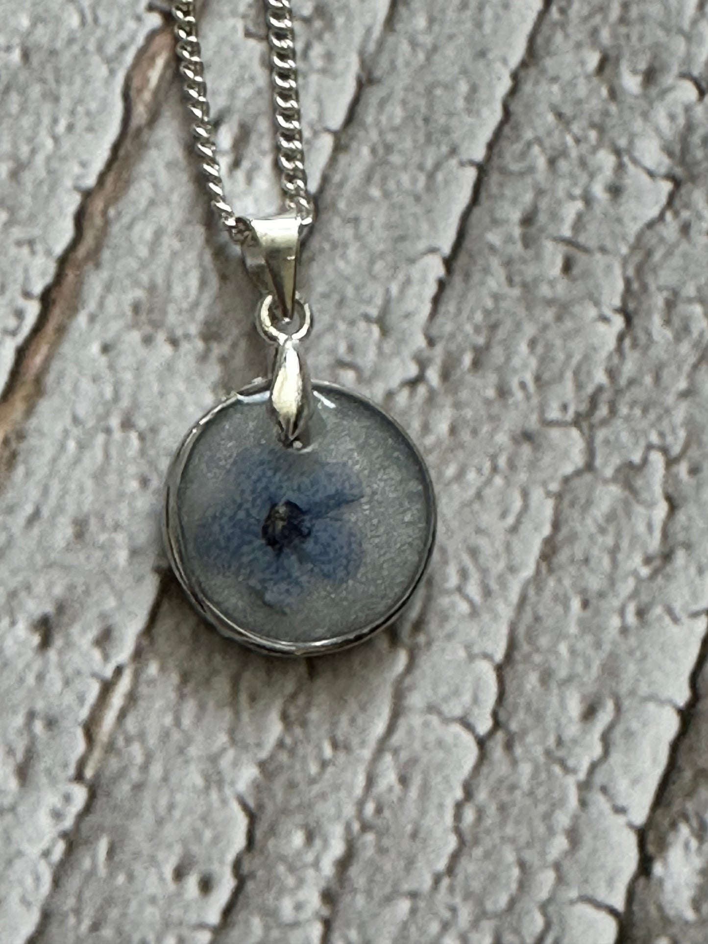 Dried flower preservation frame