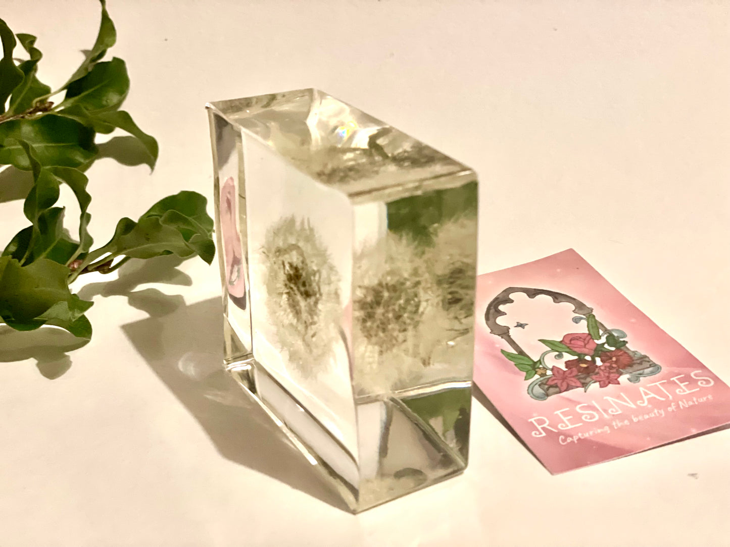 Dandelion wishes resin cube