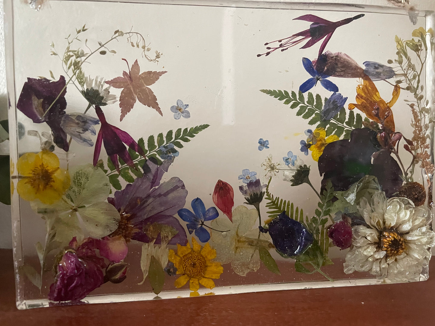 Wildflower and resin wall art