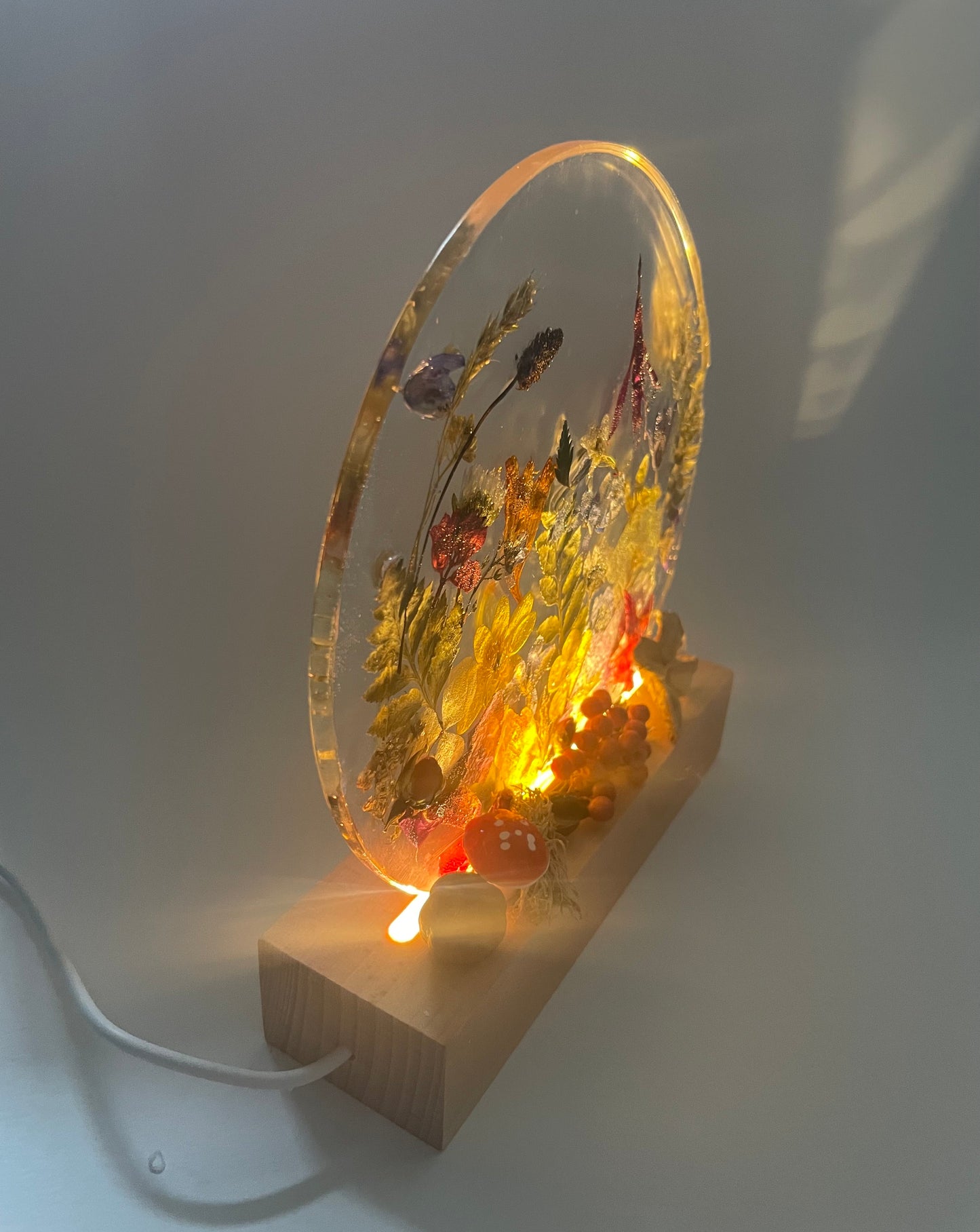 Wildflower and resin ornament with LED light up base