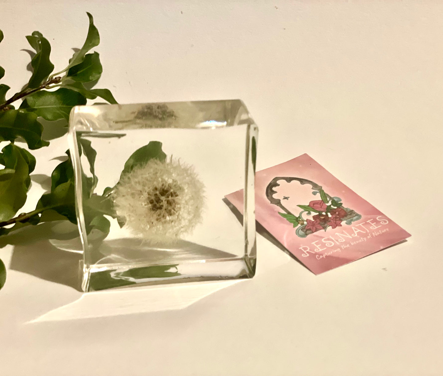 Dandelion wishes resin cube