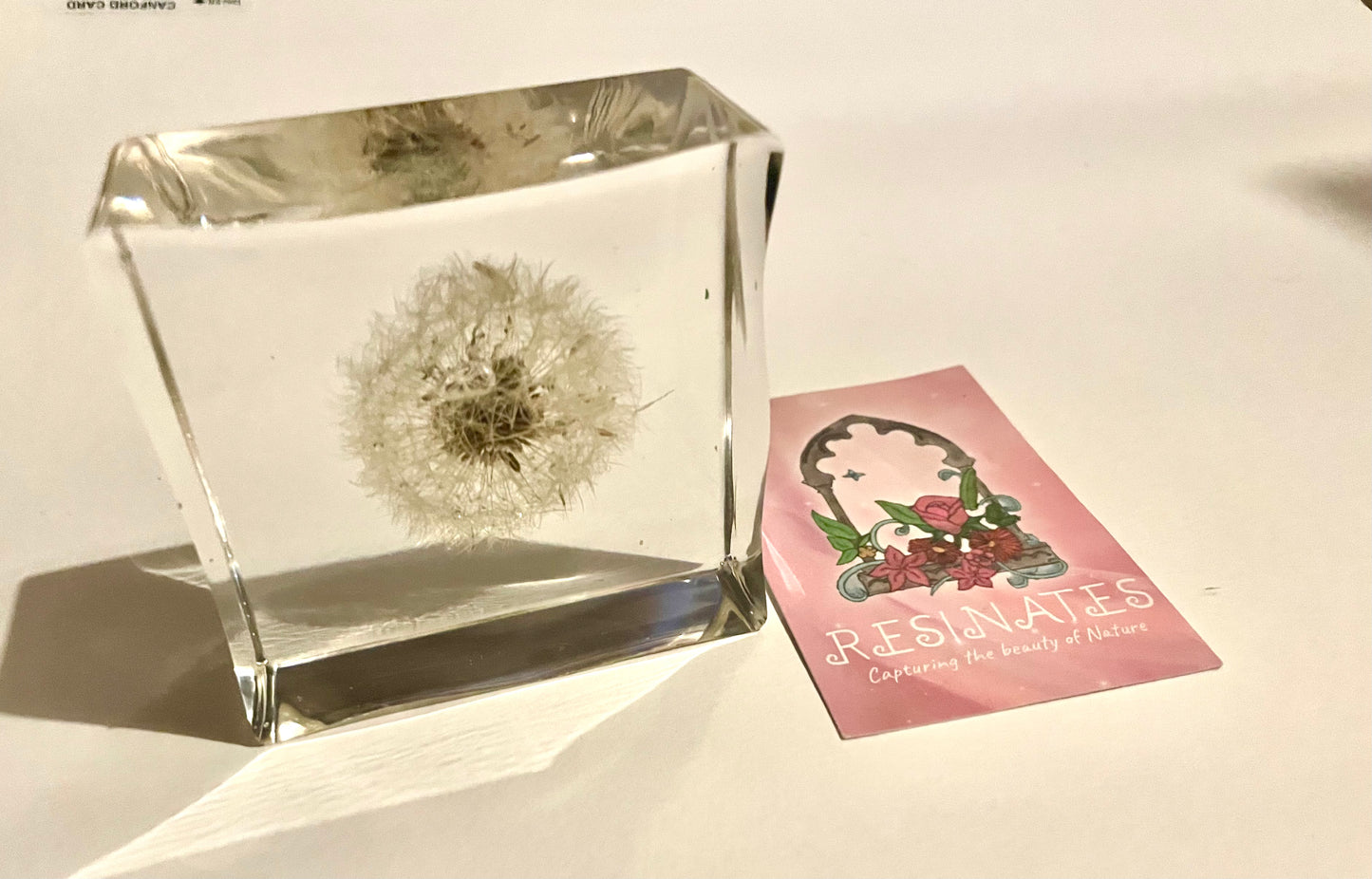 Dandelion wishes resin cube