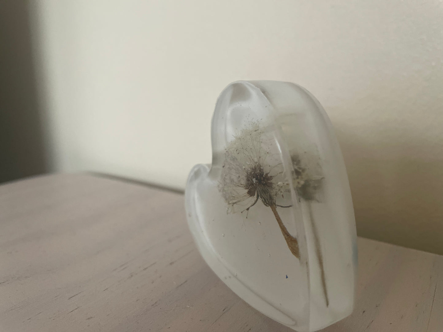 Dandelion wish in resin heart