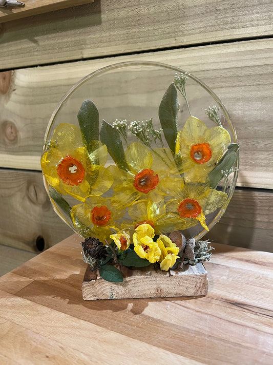 Real daffodils in resin freestanding ornament, handmade real flower gift for her