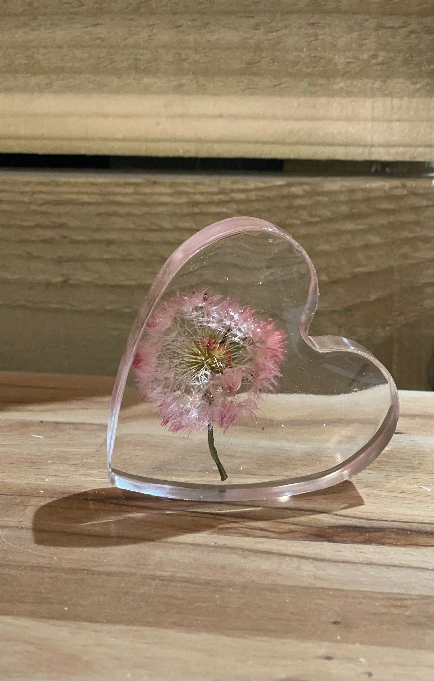 Real dandelion set in resin freestanding gift for her, military child gift, dandelion wishes