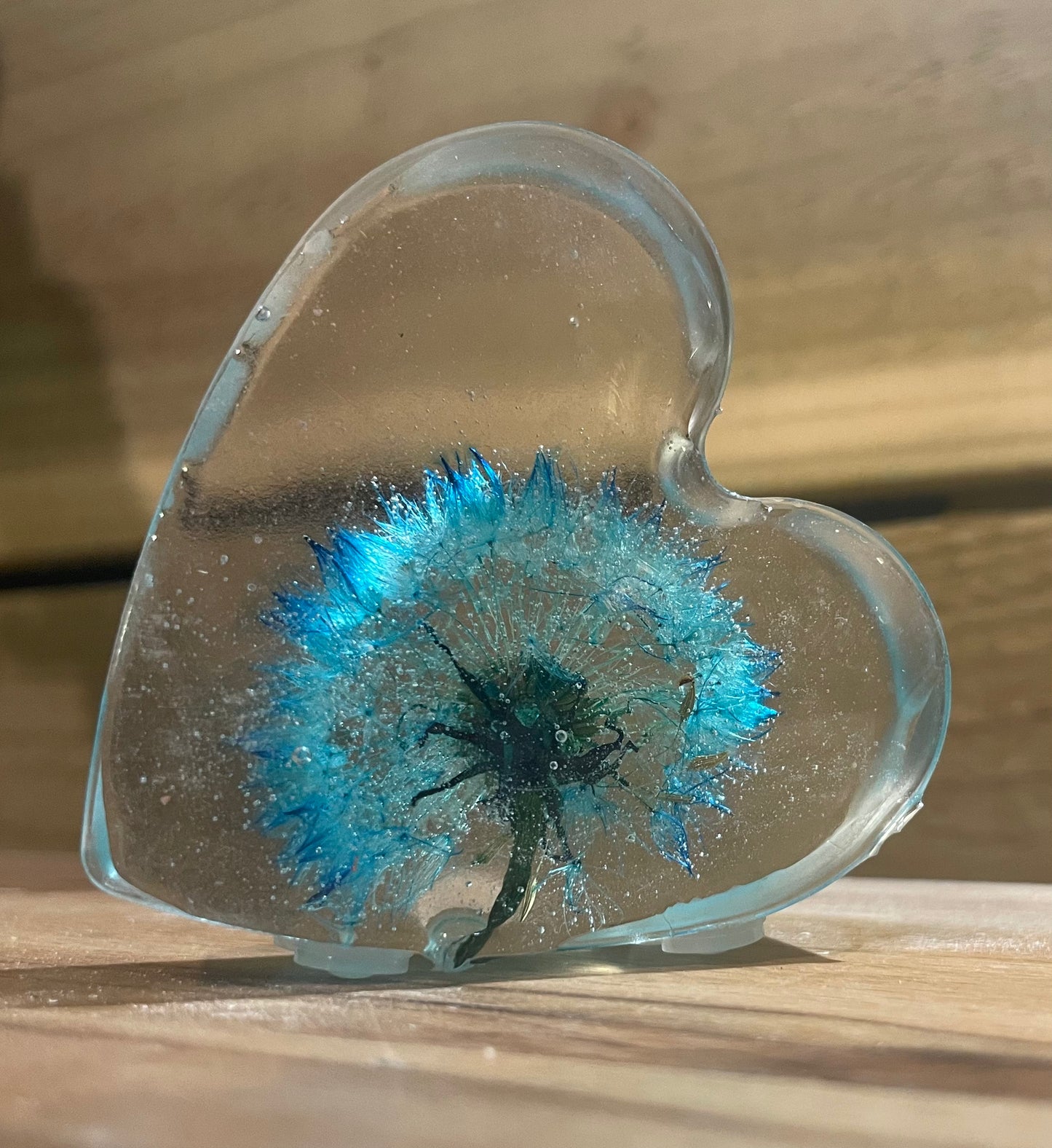 Real dandelion set in resin, blue dandelion gift for her, military child gift