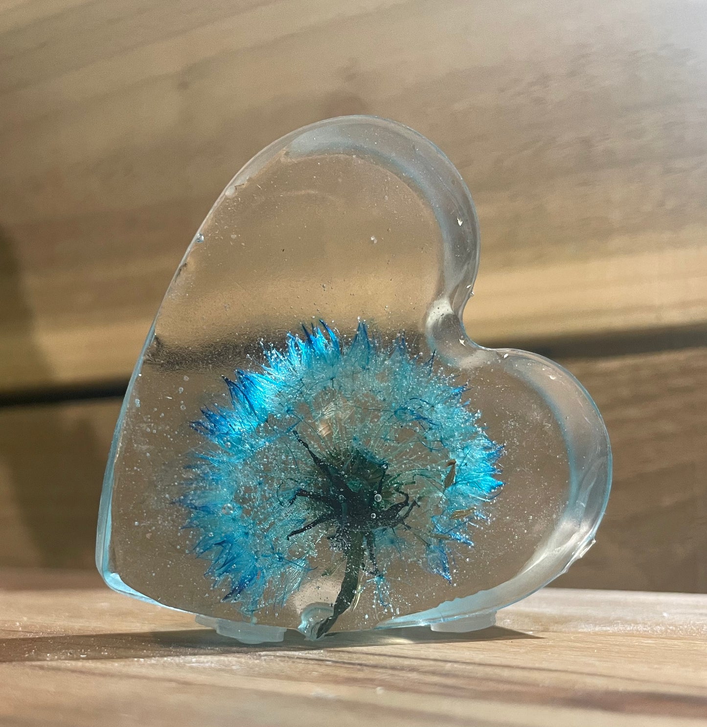 Real dandelion set in resin, blue dandelion gift for her, military child gift