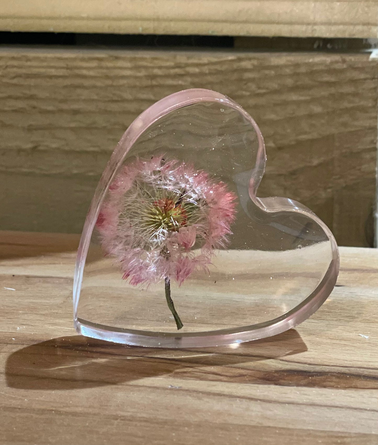 Real dandelion set in resin freestanding gift for her, military child gift, dandelion wishes