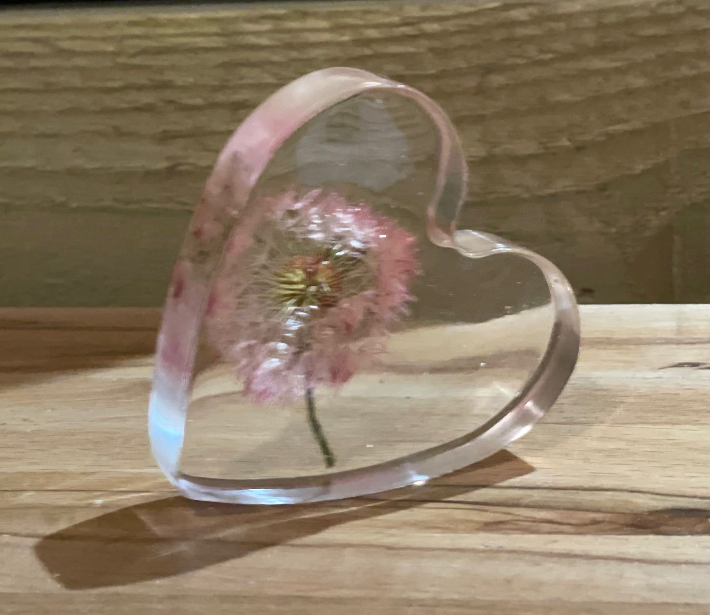 Real dandelion set in resin freestanding gift for her, military child gift, dandelion wishes