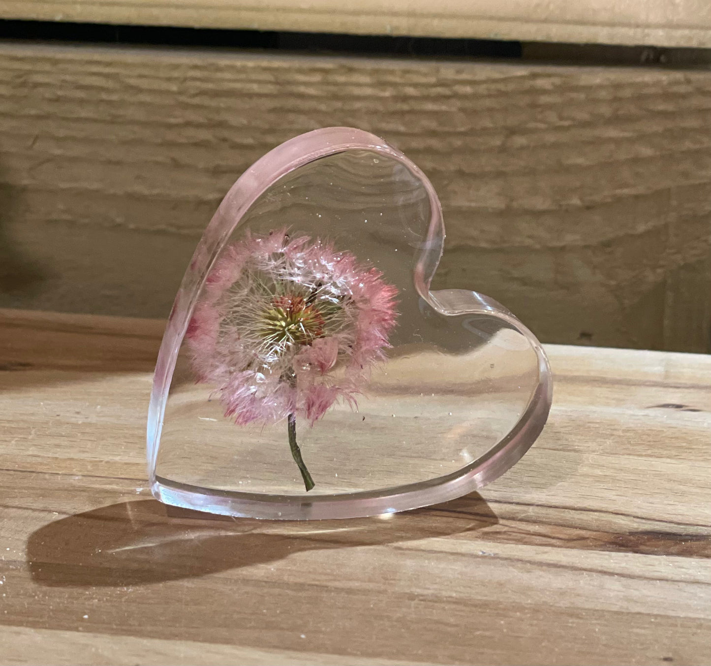 Real dandelion set in resin freestanding gift for her, military child gift, dandelion wishes