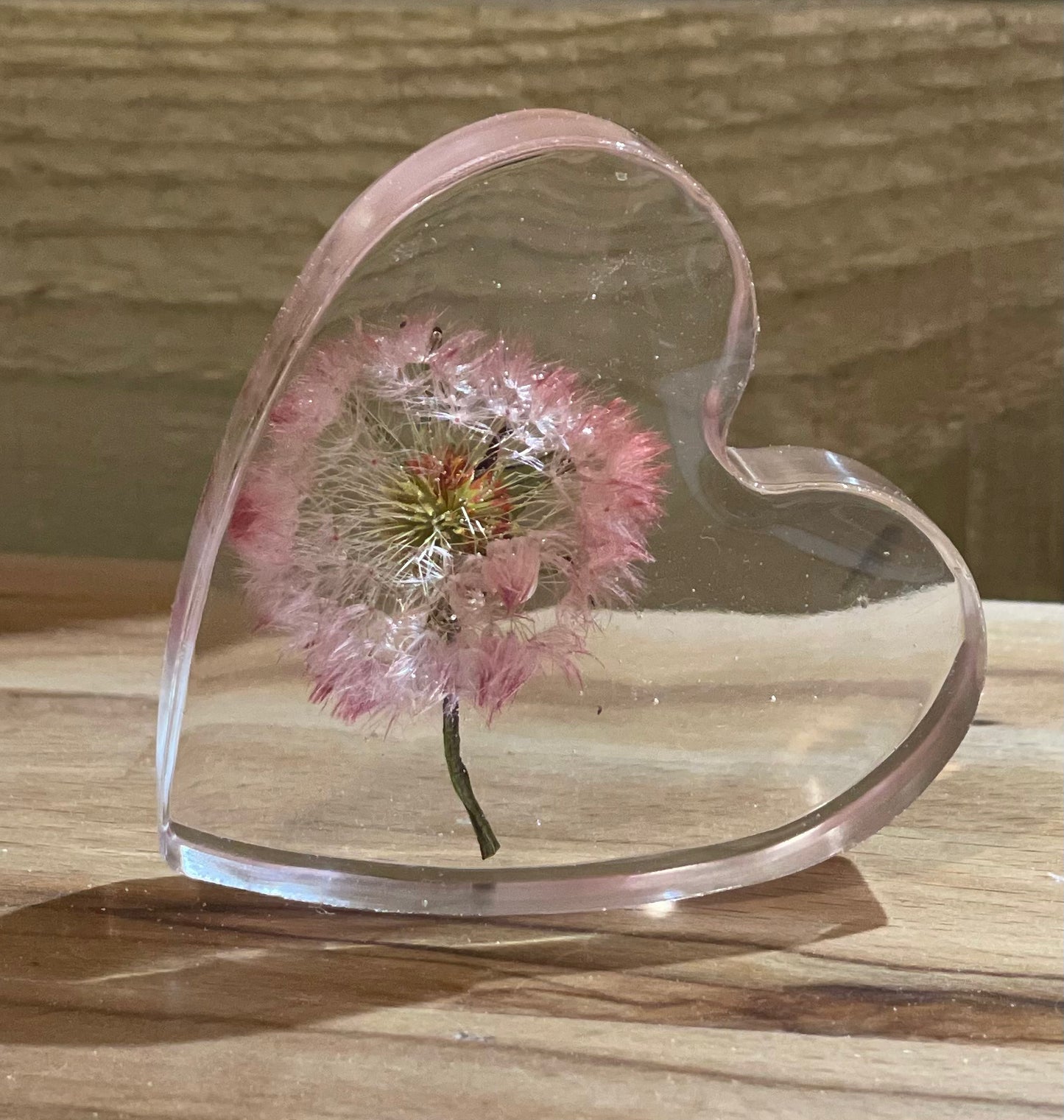 Real dandelion set in resin freestanding gift for her, military child gift, dandelion wishes