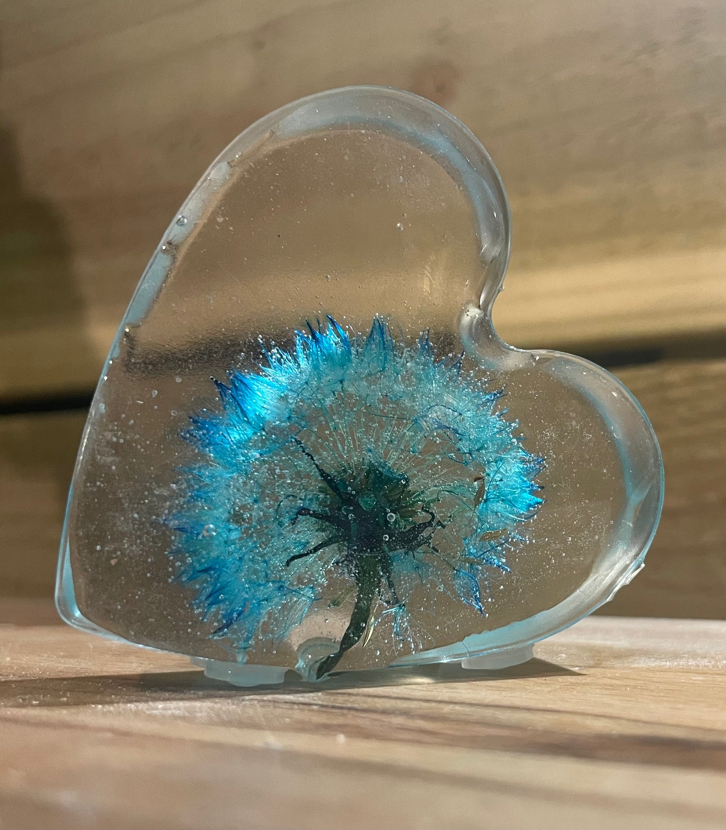 Real dandelion set in resin, blue dandelion gift for her, military child gift