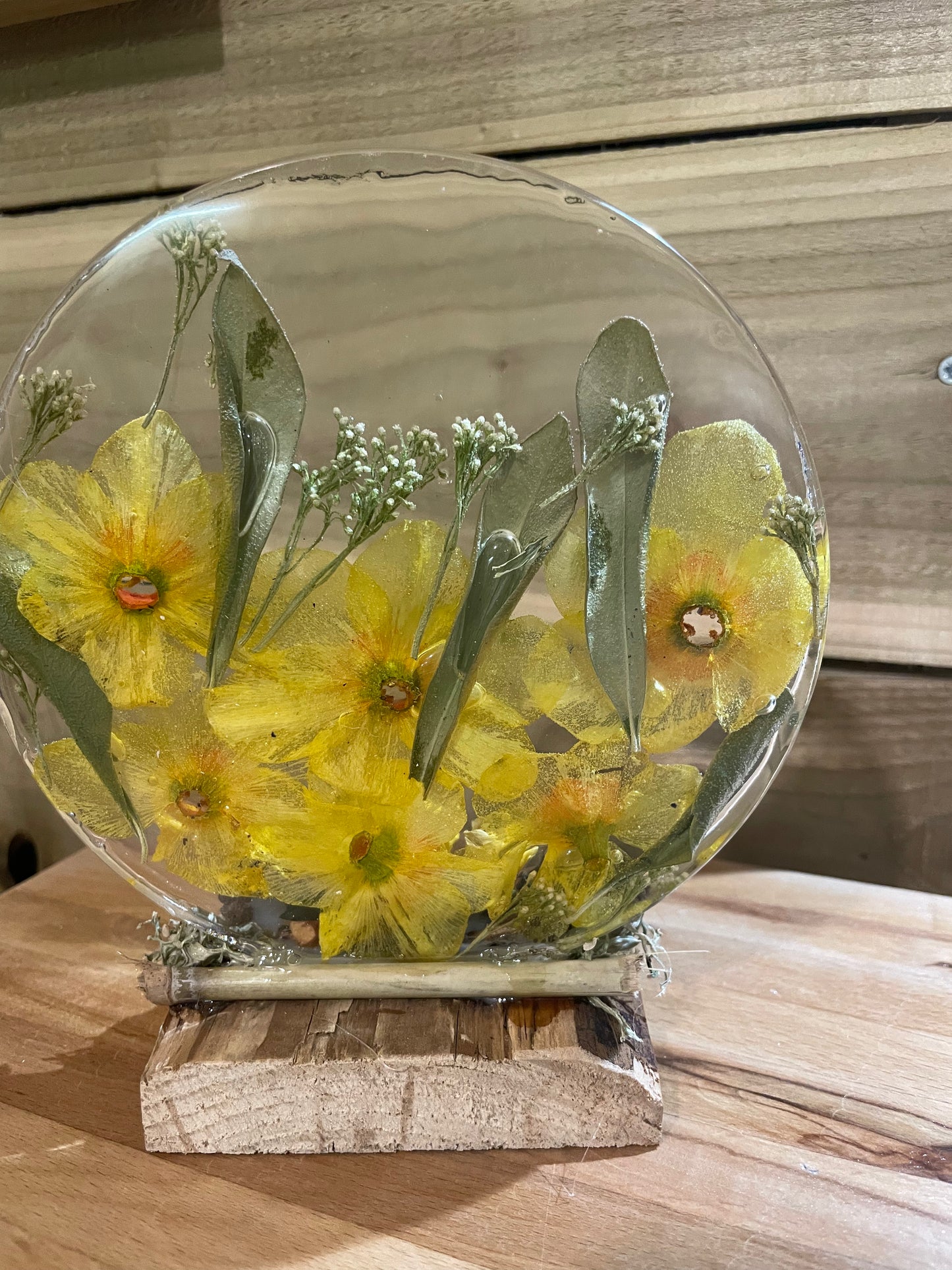 Real daffodils in resin freestanding ornament, handmade real flower gift for her