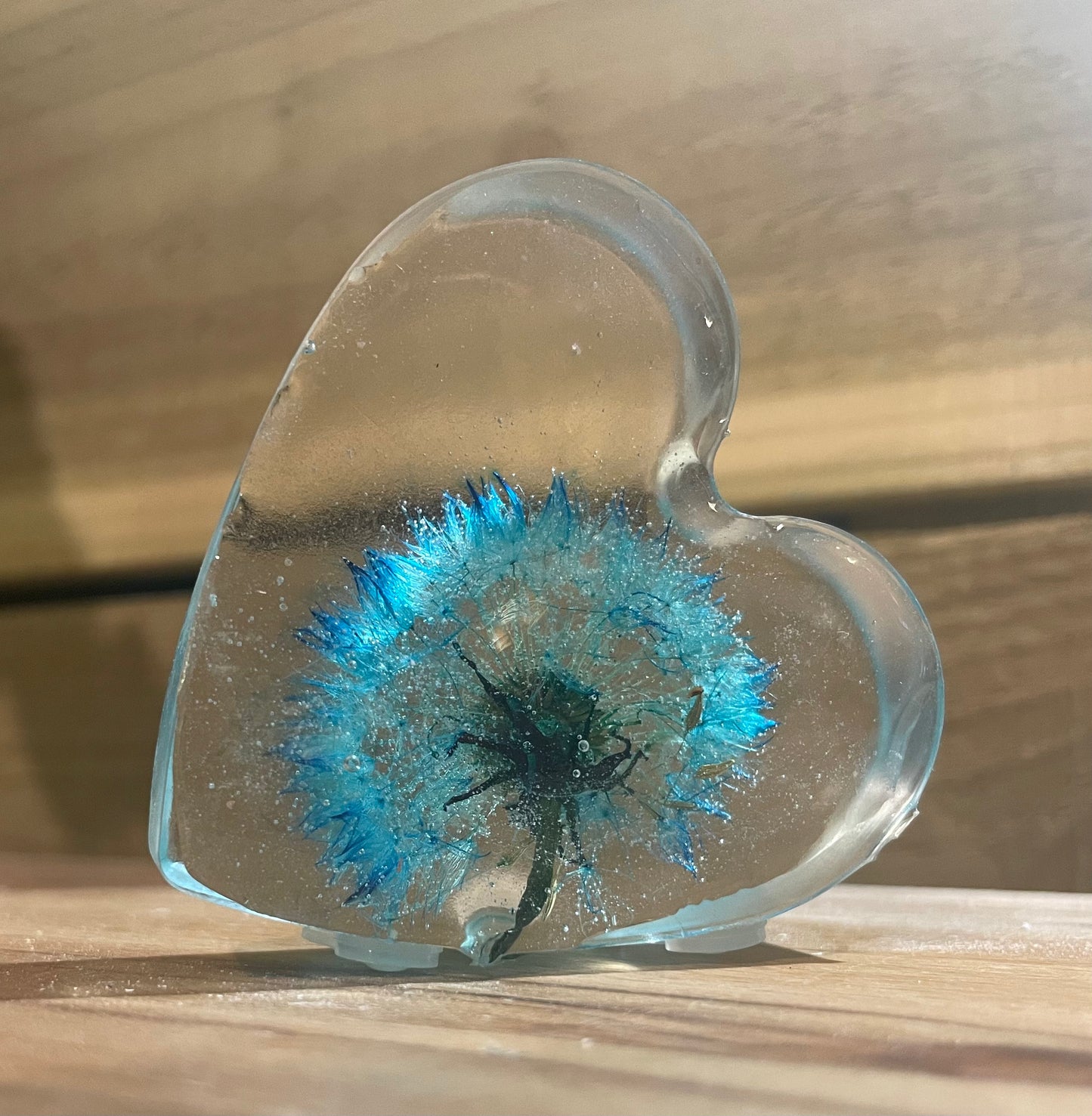 Real dandelion set in resin, blue dandelion gift for her, military child gift