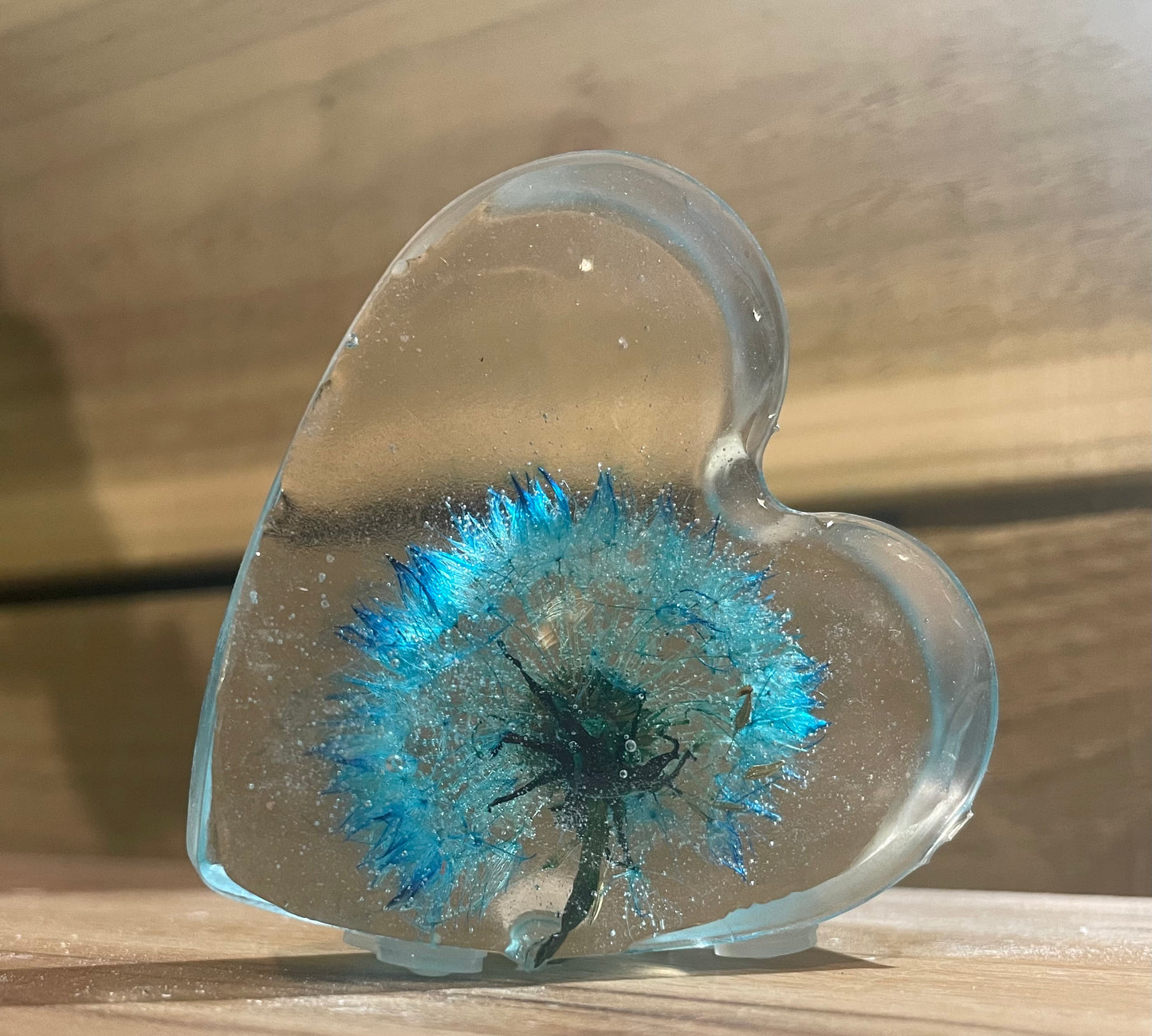 Real dandelion set in resin, blue dandelion gift for her, military child gift