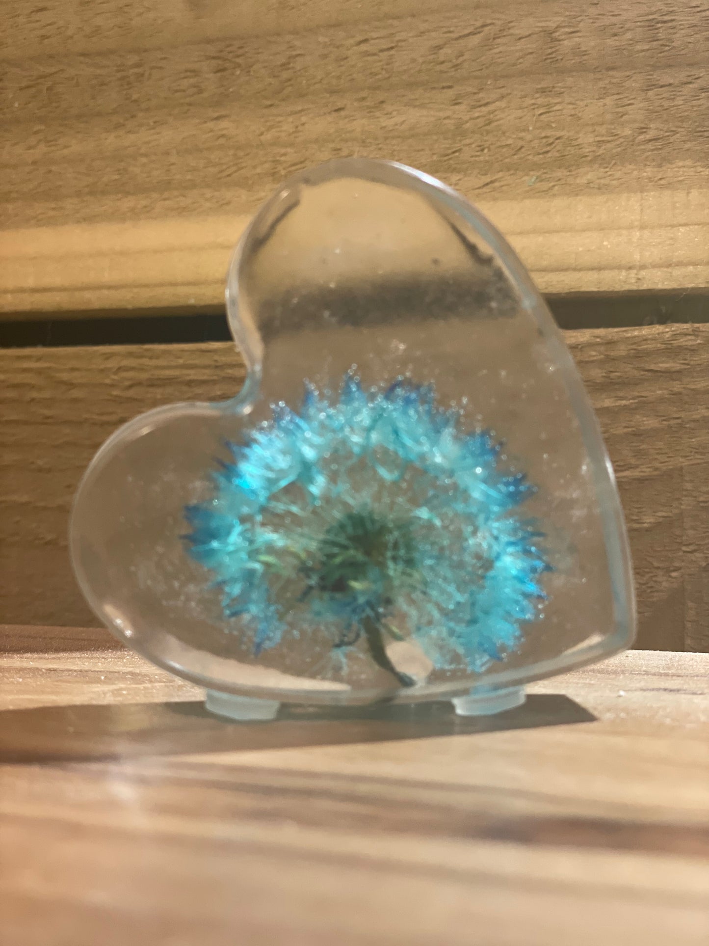 Real dandelion set in resin, blue dandelion gift for her, military child gift