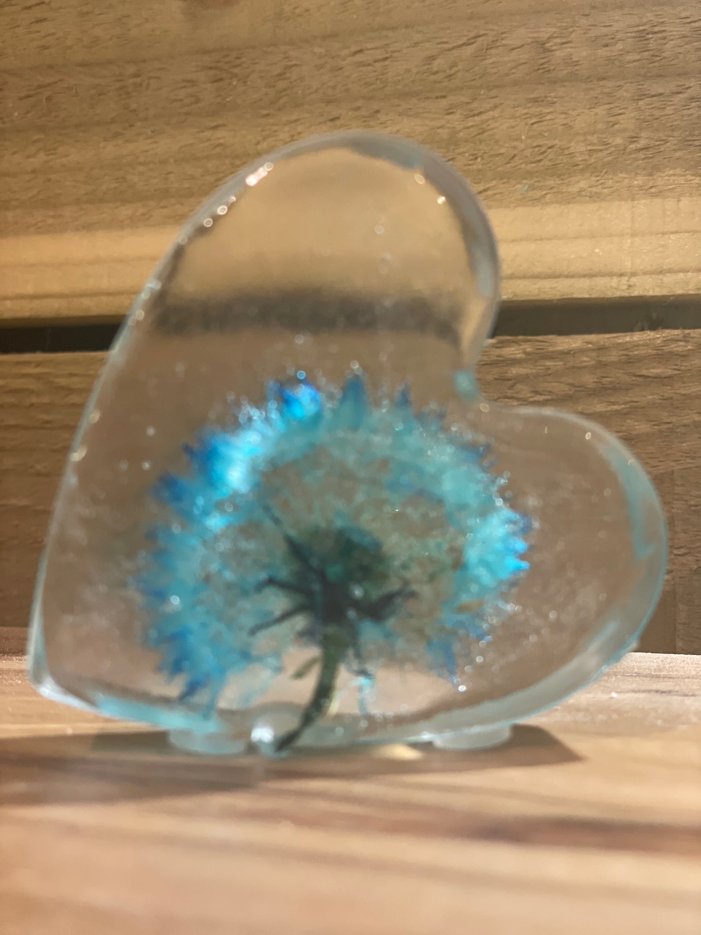 Real dandelion set in resin, blue dandelion gift for her, military child gift