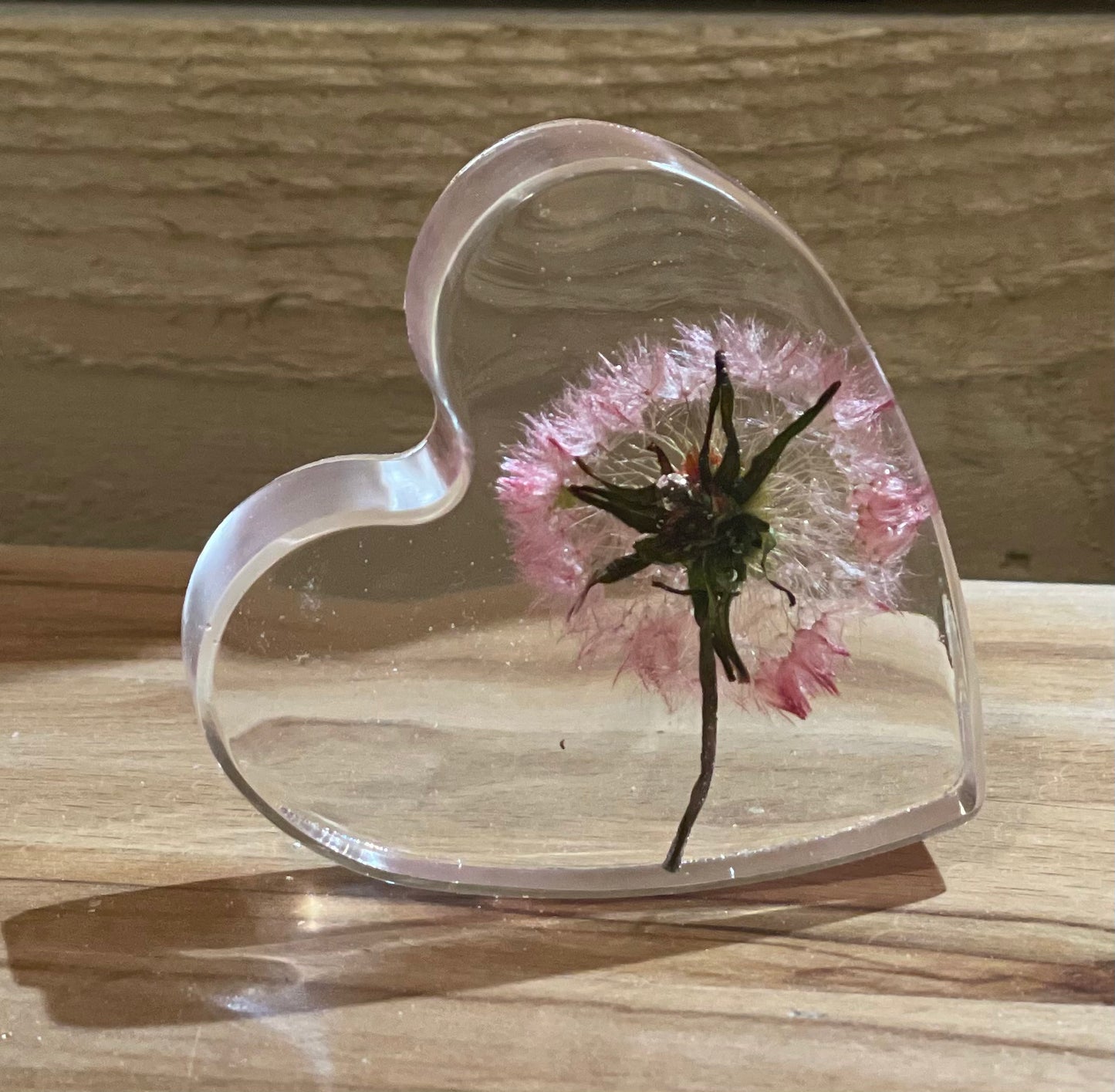 Real dandelion set in resin freestanding gift for her, military child gift, dandelion wishes