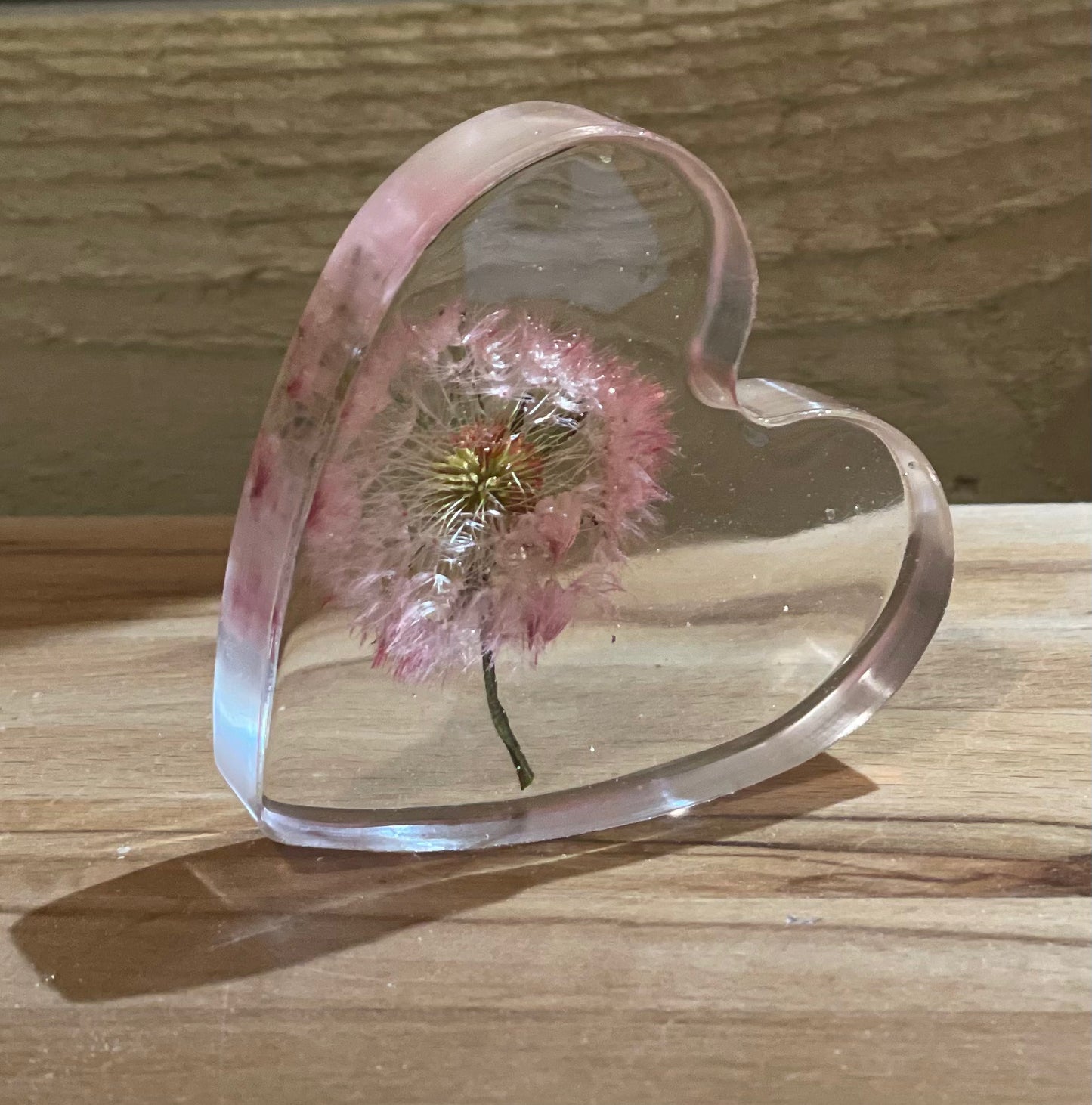 Real dandelion set in resin freestanding gift for her, military child gift, dandelion wishes