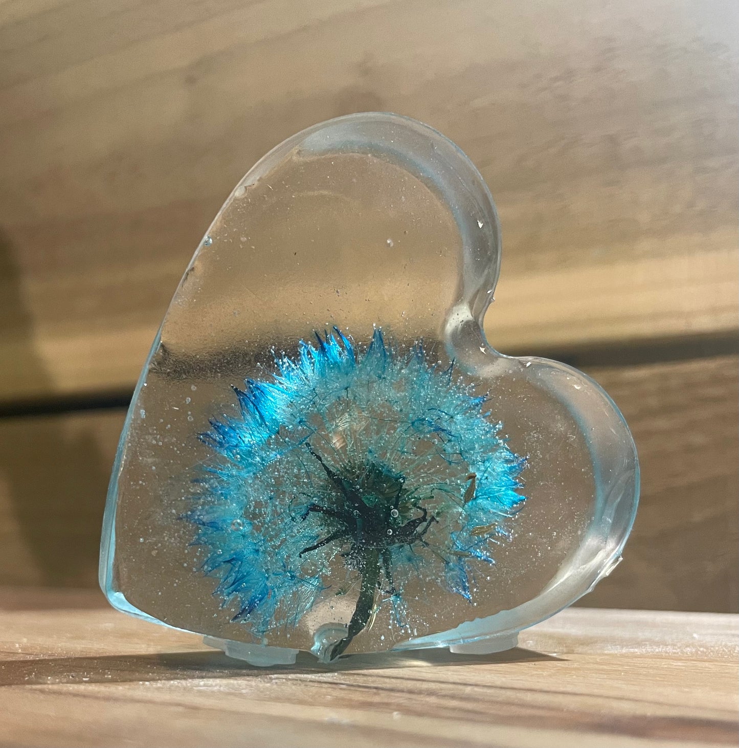 Real dandelion set in resin, blue dandelion gift for her, military child gift