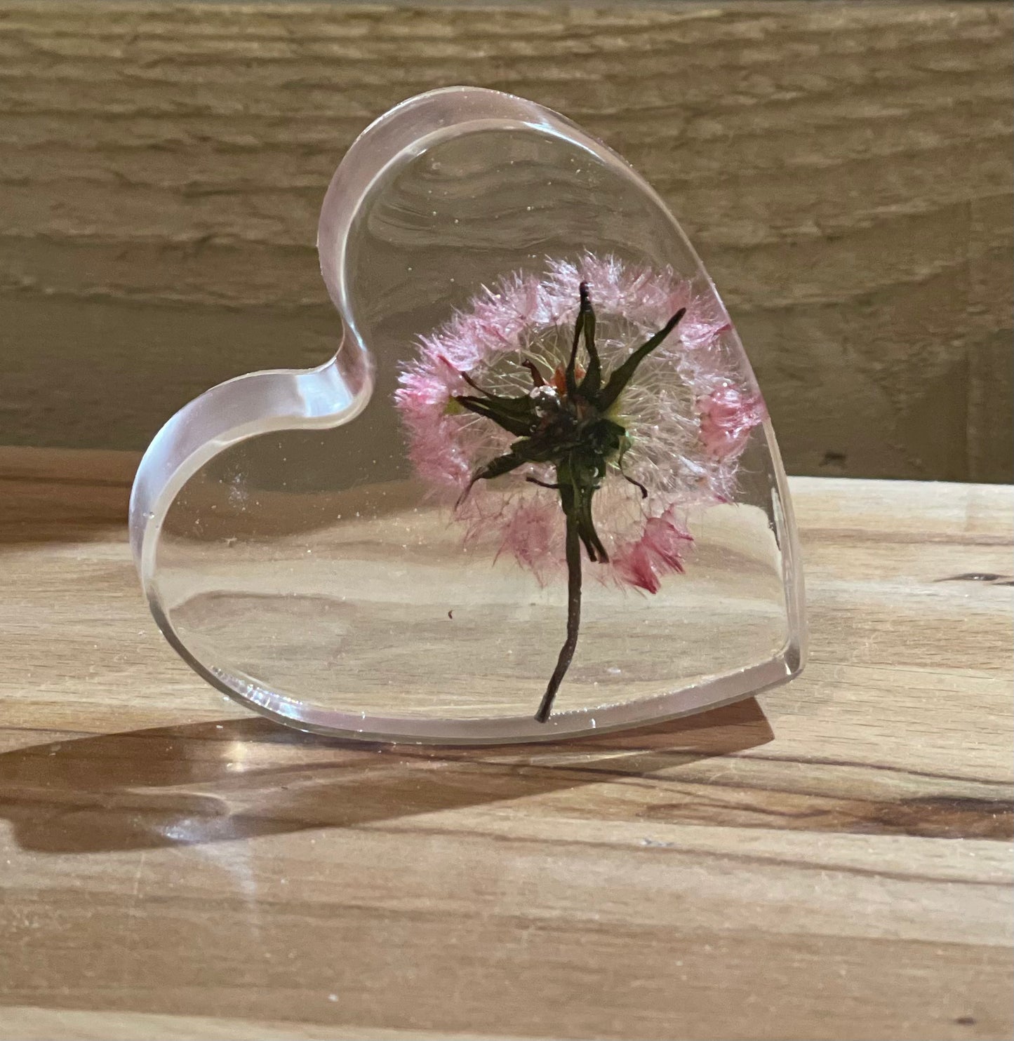 Real dandelion set in resin freestanding gift for her, military child gift, dandelion wishes