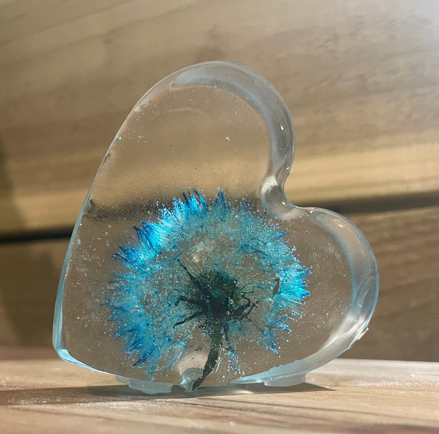 Real dandelion set in resin, blue dandelion gift for her, military child gift