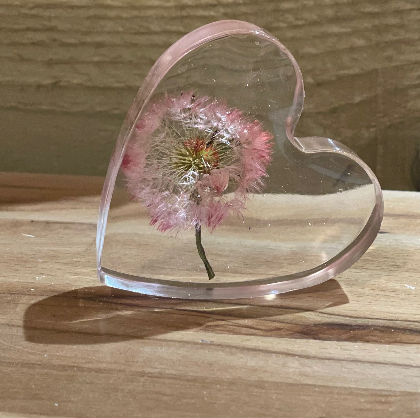 Real dandelion set in resin freestanding gift for her, military child gift, dandelion wishes