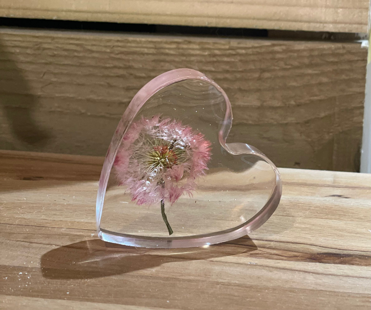 Real dandelion set in resin freestanding gift for her, military child gift, dandelion wishes