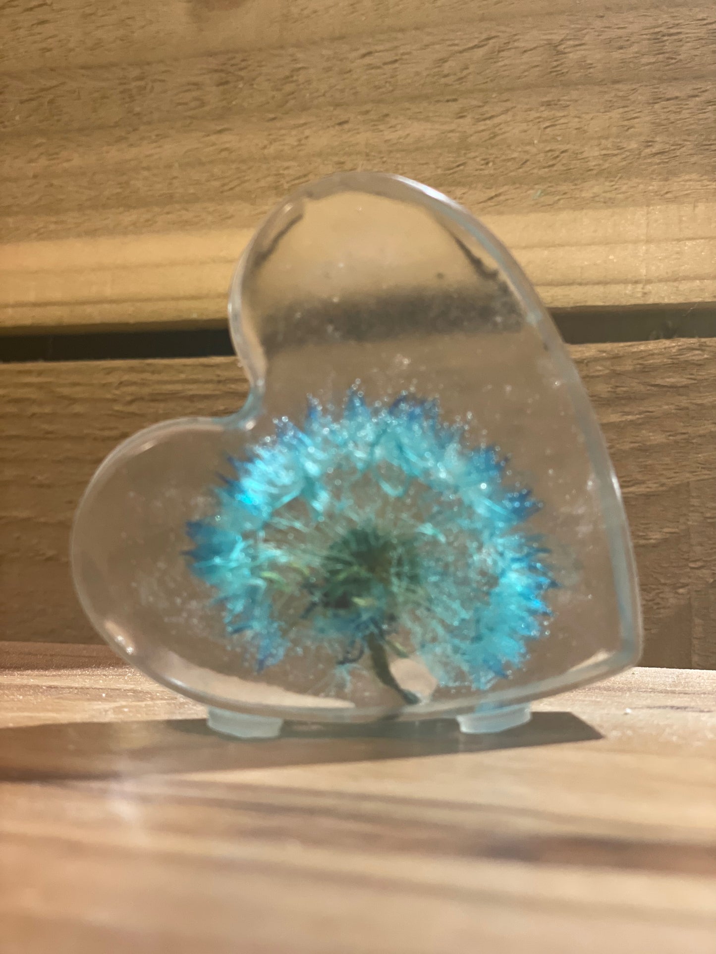 Real dandelion set in resin, blue dandelion gift for her, military child gift