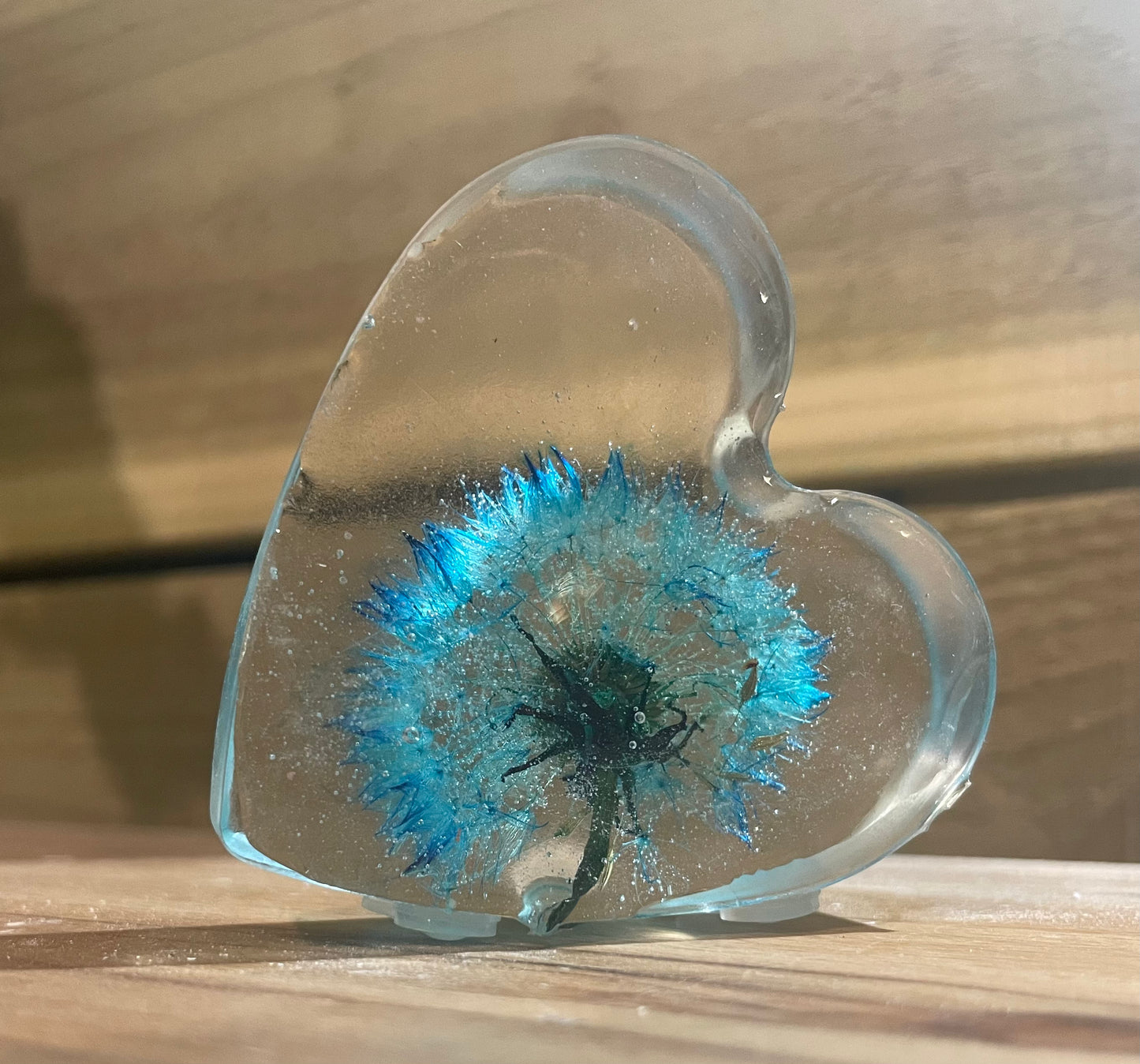 Real dandelion set in resin, blue dandelion gift for her, military child gift